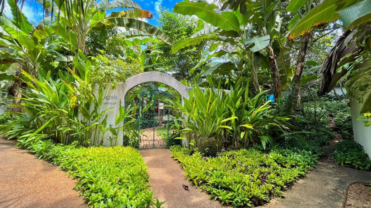 Coco Grove Beach Resort, Siquijor Island Esterno foto Entrance to the botanical garden